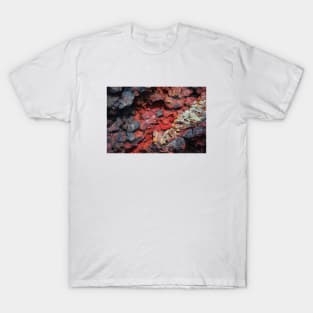 Lava Stone T-Shirt